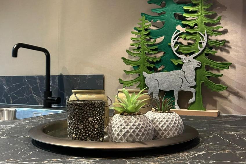 Wellnesslodge Specht 2p - foto 37