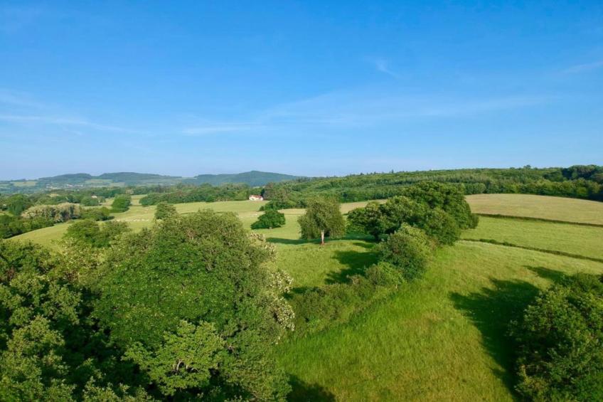 Maison Ferdinand - foto 34