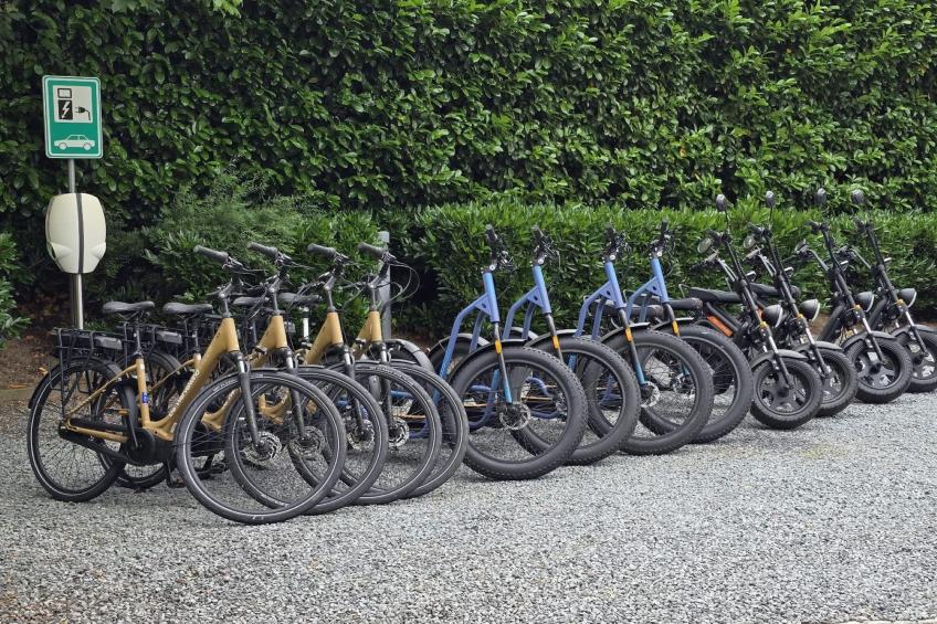 De Pimpernel - foto 28