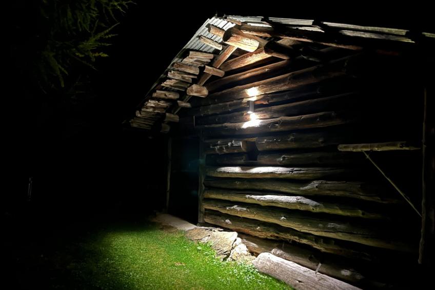 Presa Daint - foto 12