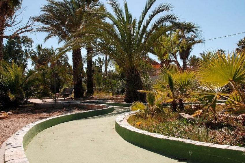 Violeta 17 - foto 144