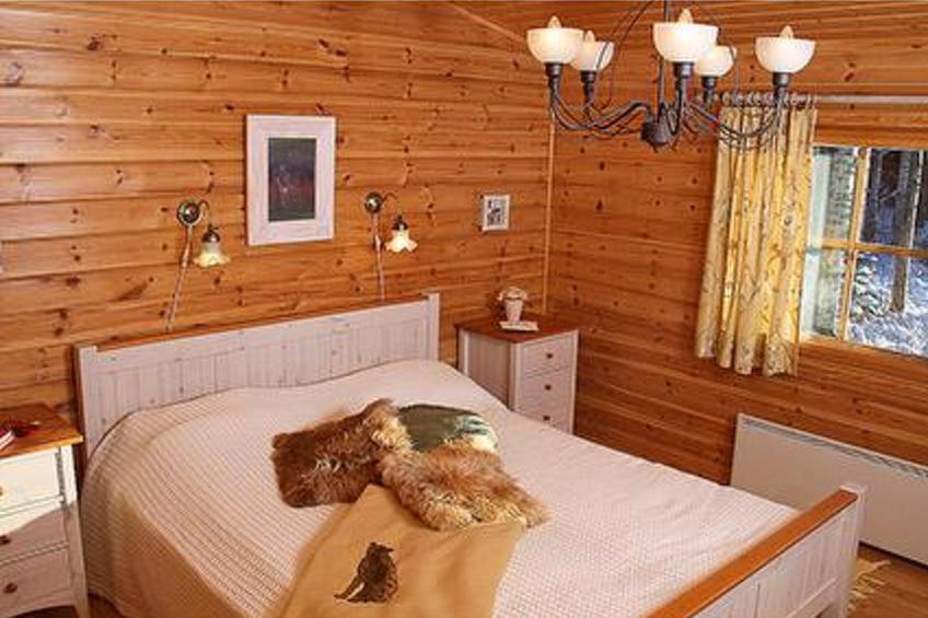 Mäntyniemi, pätiälän kartanon loma-asunn - foto 9