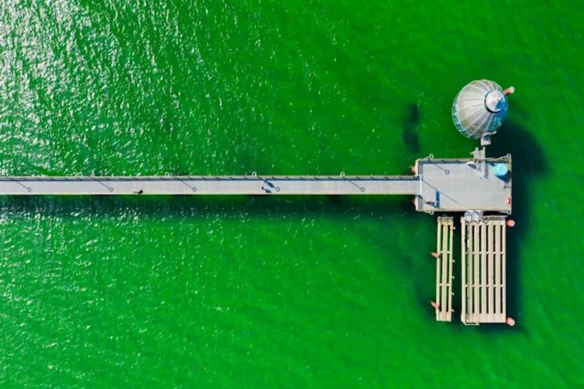 Holiday flat, Zingst|Buhnen 2.4 - foto 31