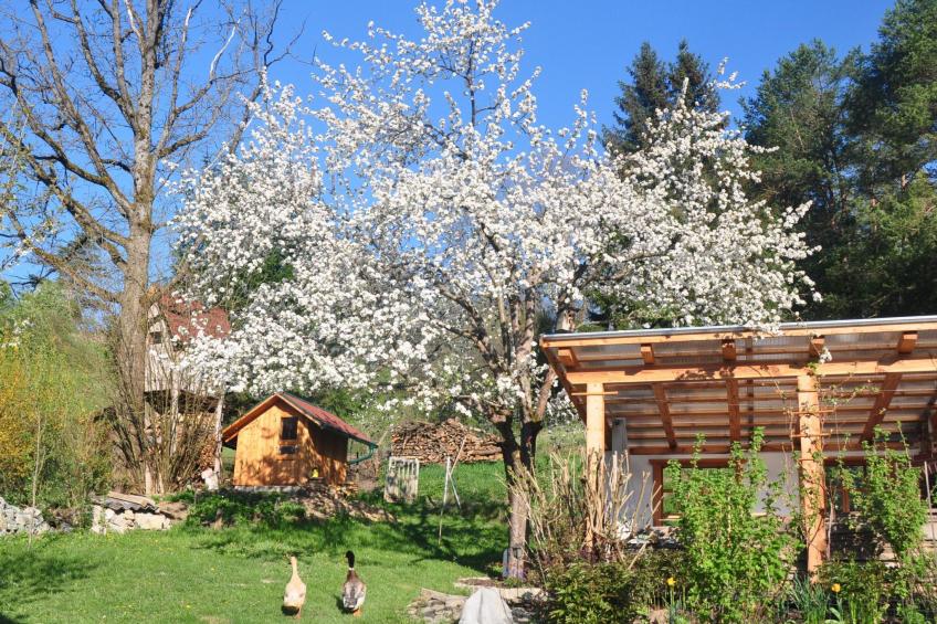 Haus König FEWO - foto 42