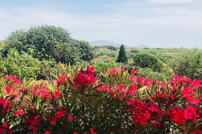 Graffeo-Häuser Haus der Rosen - foto 19