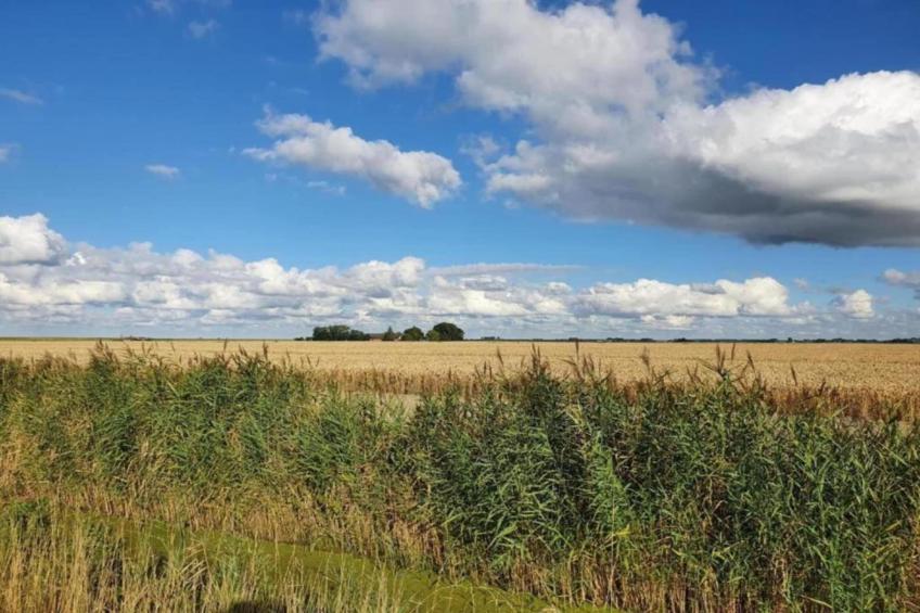 Standaard 207 - foto 29