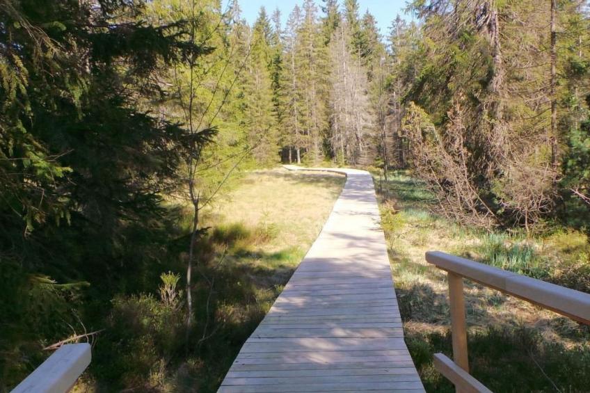 Fewo "Am Skihang OG" - foto 22