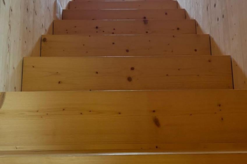 Casa Mia Pardiel, (Bad Ragaz), - foto 18