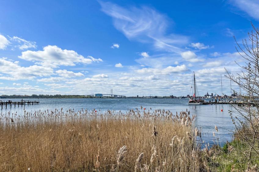 Kranichblick - foto 50