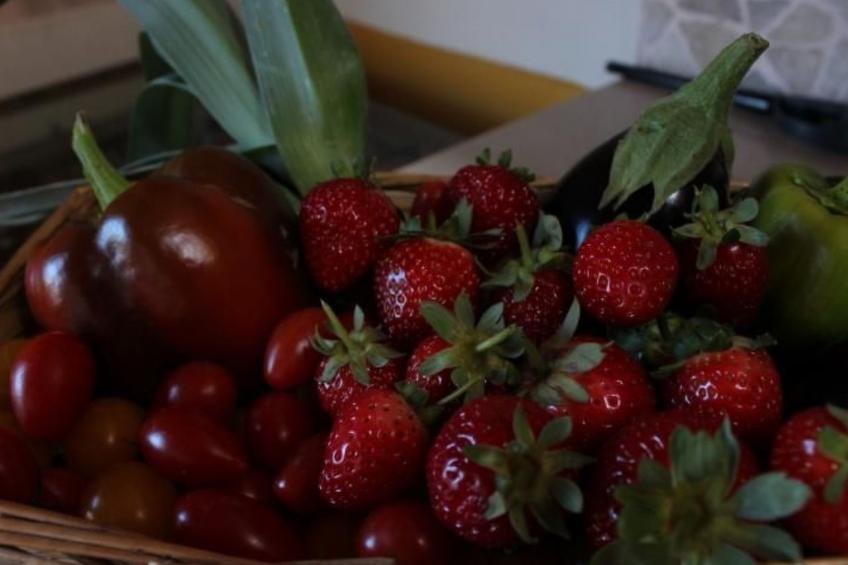 Romantisch und einzigartig "Das Bambus-Apartment - foto 34