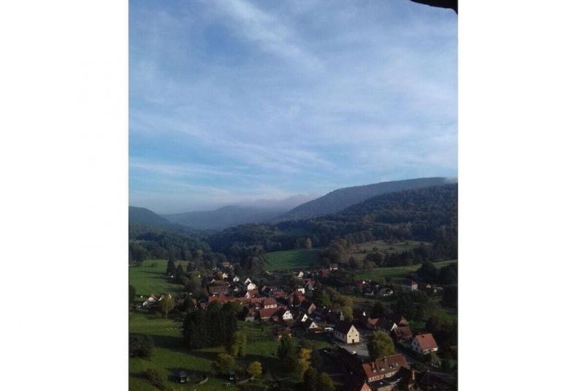 254594 - foto 38