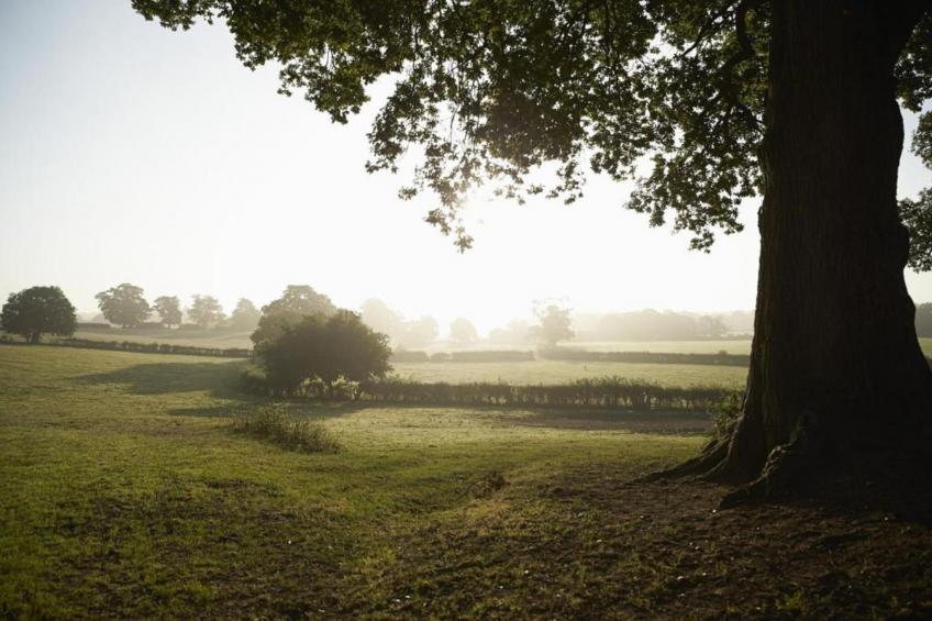 Little Rissington - The Studio Apartment - foto 20