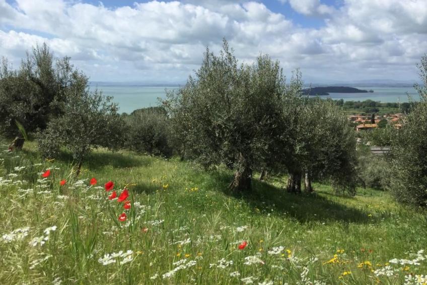 Renovierte Wohnung - foto 29