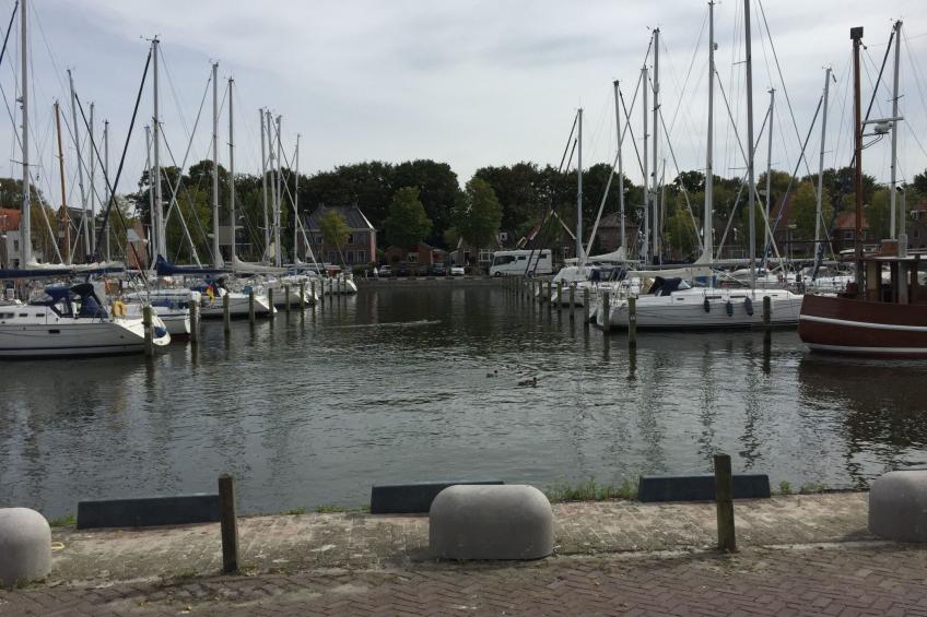 De Wickinger - foto 29