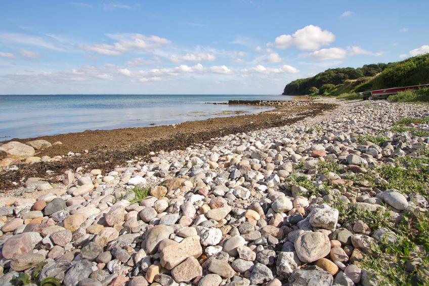 "Ady" - 150m from the sea in SE Jutland - foto 17