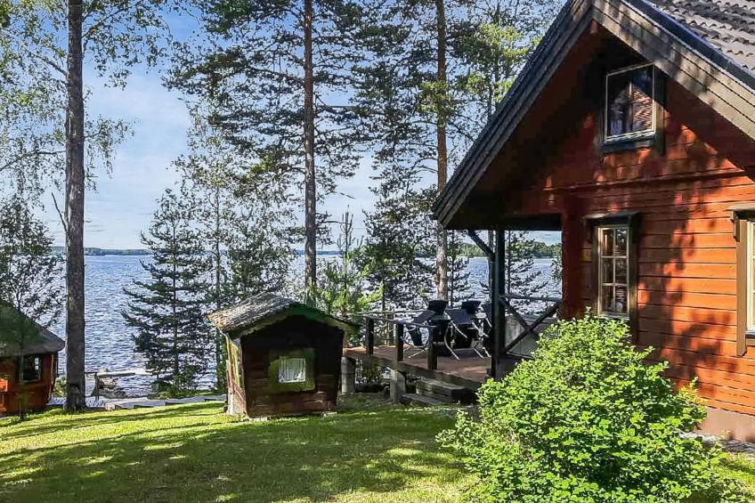 Puolen hehtaarin metsä