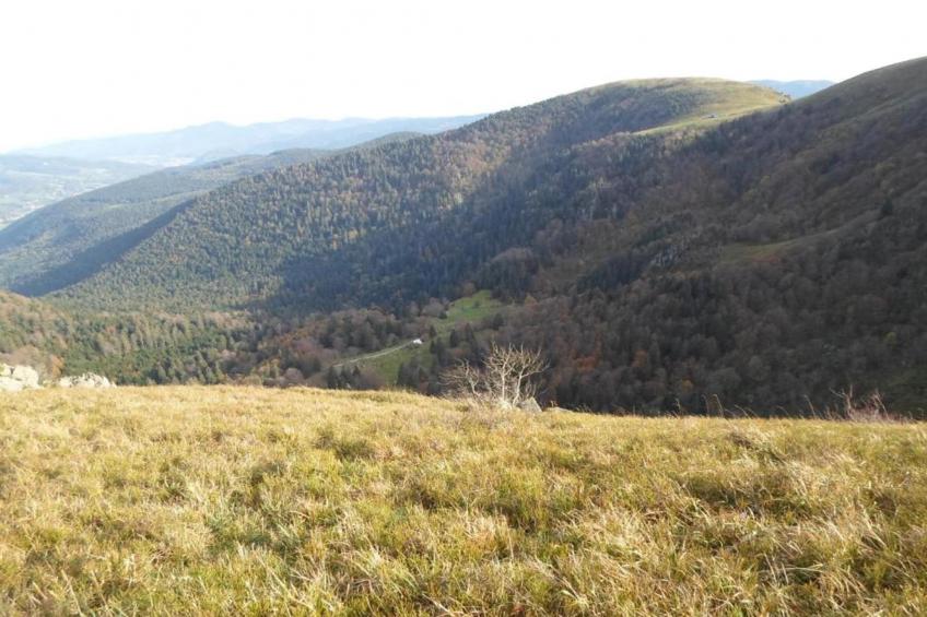 Domaine Des Messires 2 - foto 14