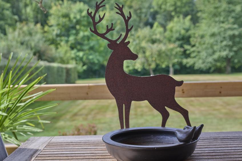 Bie Leentje op de Wei - foto 36