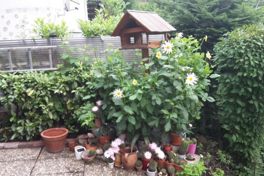 Haus Wiesental - foto 10