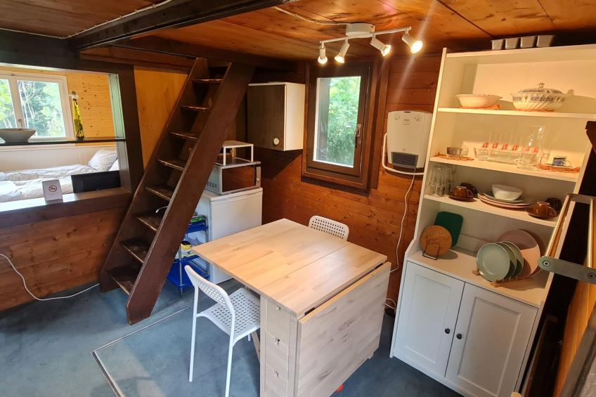 Bienenhaus Speicher - foto 9