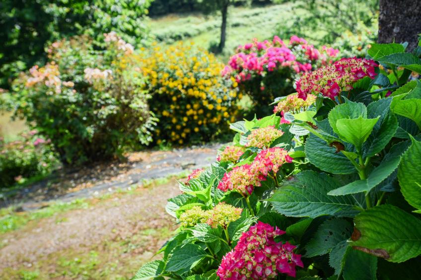 Maison des Yourtes - foto 15