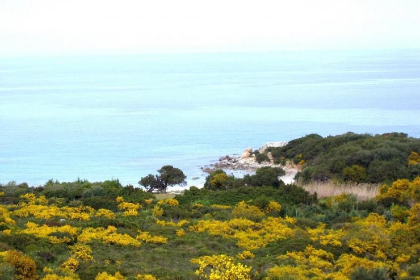 TORTOLI - THE HOME OF THE SEA - foto 14