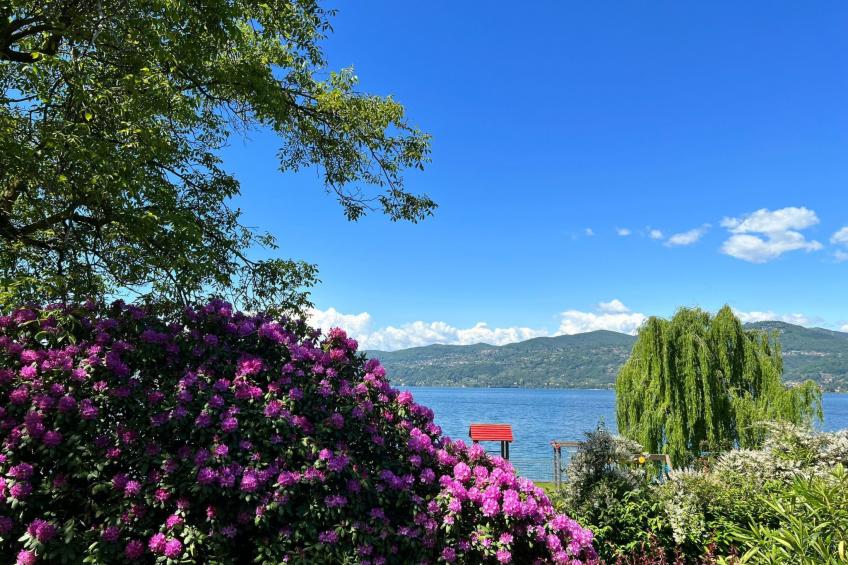 Bnbook Hecht Haus - foto 40