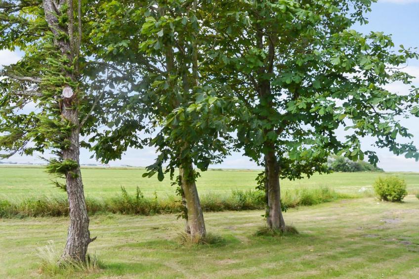 "Juuso" - 20km from the sea in Western Jutland - foto 26