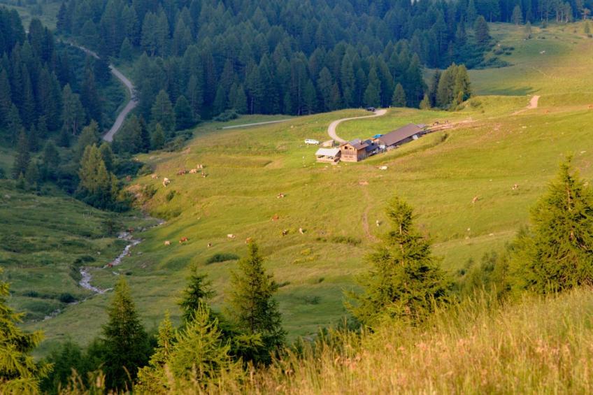 Residence Sporting Club Monolocale 2/4 Letti - Solo Locazione - foto 17