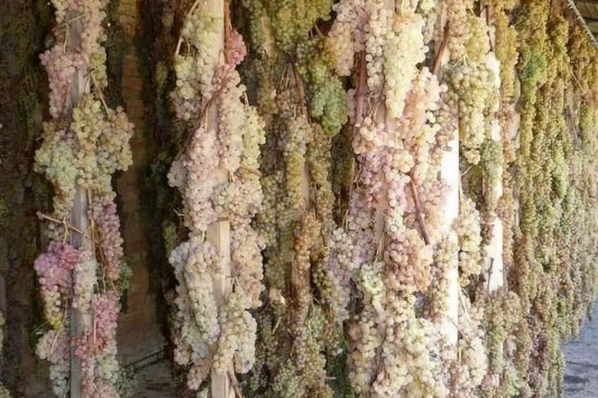 Schloss Selvole T6 - foto 31