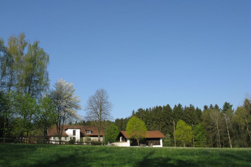 Haus Victoria - foto 21