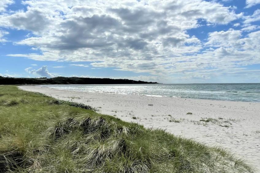 "Efka" - 175m from the sea in Sealand - foto 4