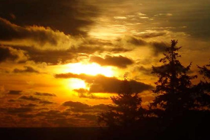 "Folki" - 300m from the sea - foto 3