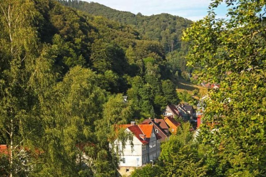 Gemütliche Ferienwohnung in Lerbach - foto 18
