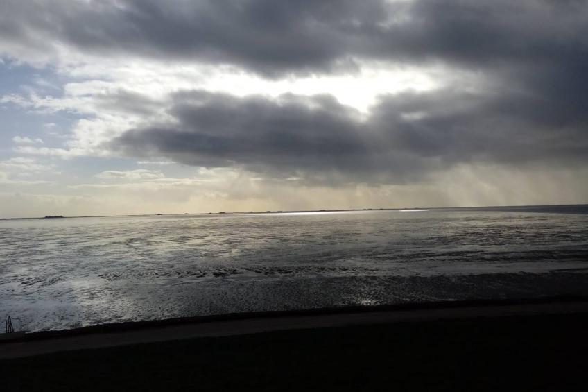 Ferienhaus Langeneß - foto 34