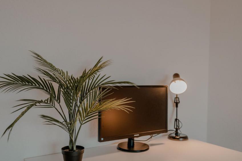 Apartment mit Küche, Arbeitsplatz und xxl Sofa - foto 5