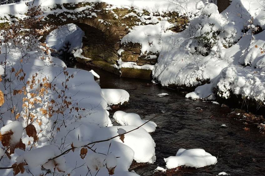 Komfortwohnung - foto 36