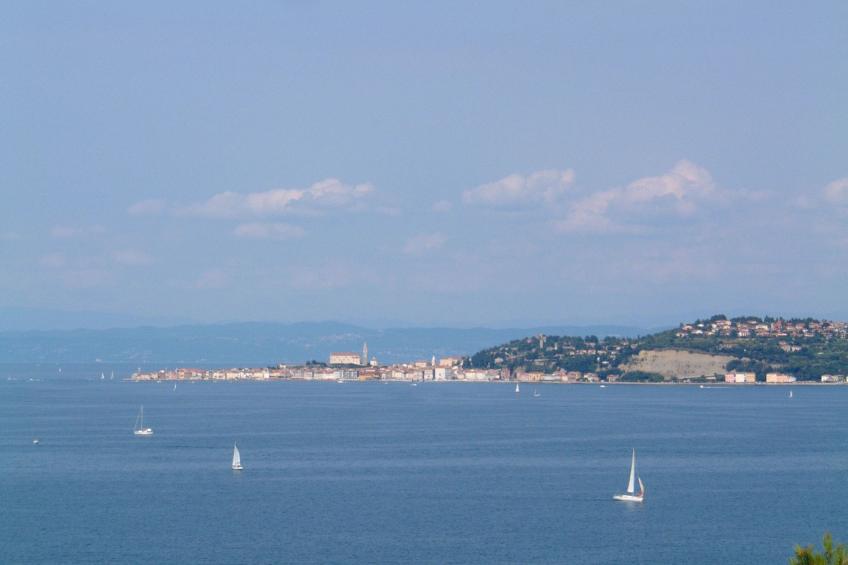 Villa del Golfo, Apartement mit Garten und Pool - foto 41