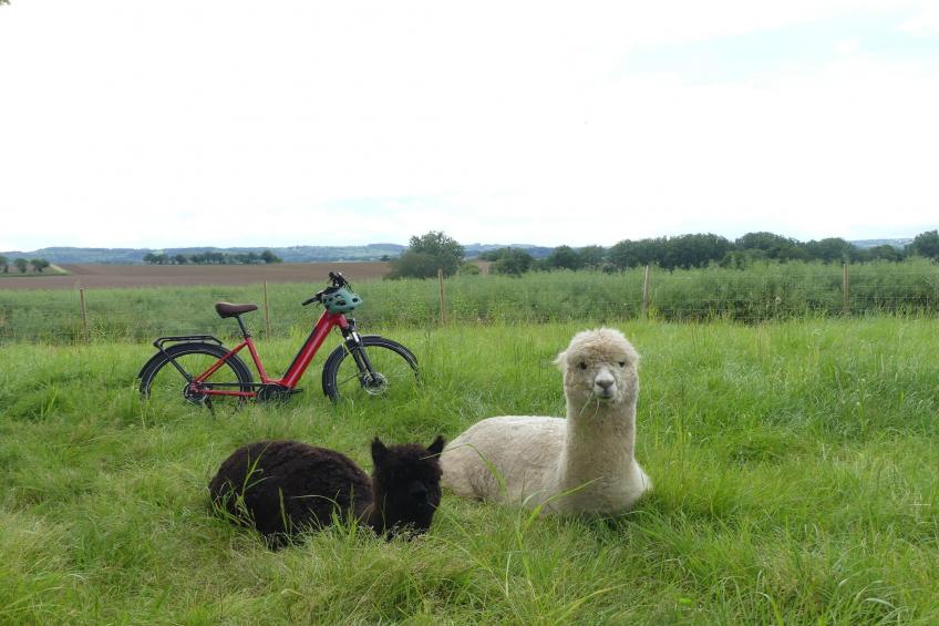 Joli Gite de vacances à Neulliac - foto 25