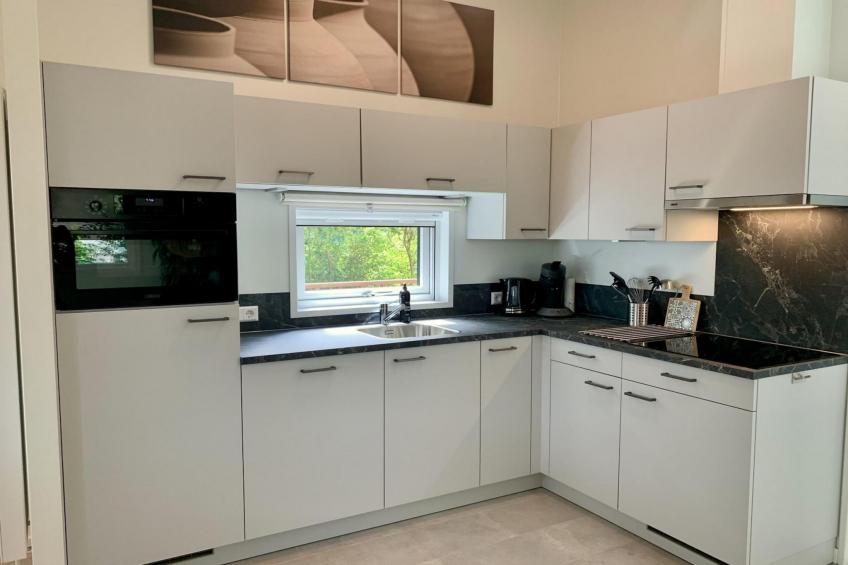 Campanula 136 - foto 4