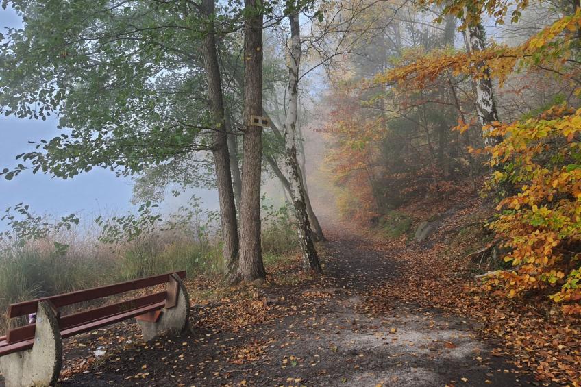 Waldhaus57 Silbersee - foto 48