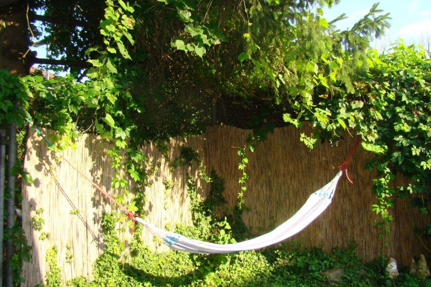 Wohlfühloase - foto 5