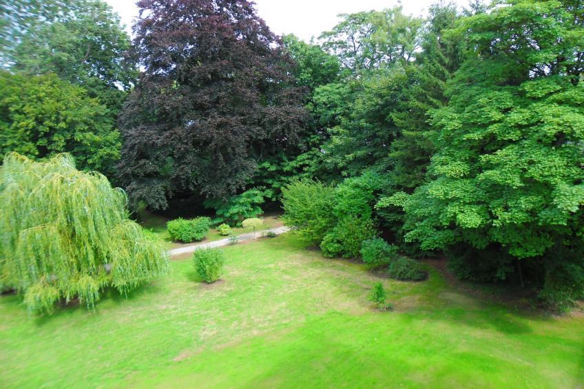 Château St-Jean - foto 7