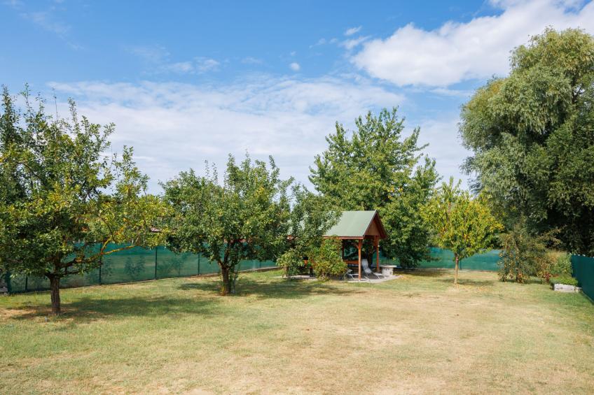 Gyula - foto 34