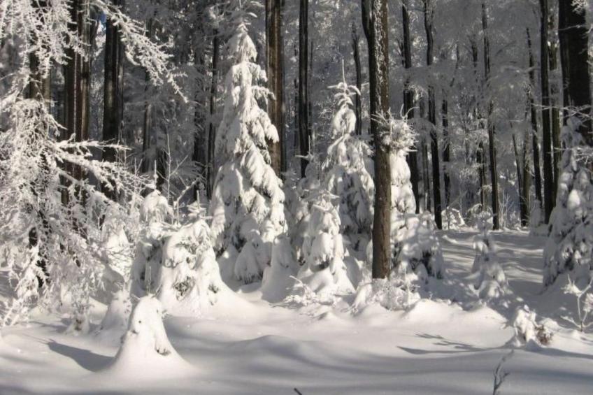 in Haschaberg mit Sonniger Terrasse - foto 20