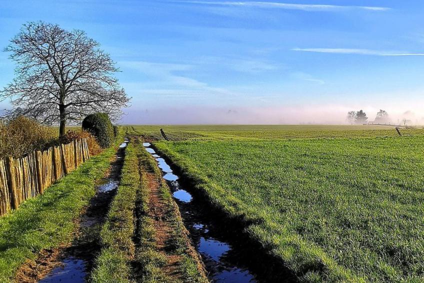 Komplett neue ländliche Unterkunft im Cottage-Stil Komfort - foto 57