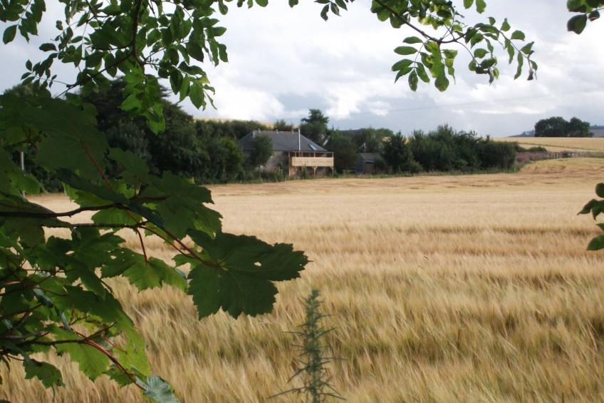 "Der Kornspeicher" mit Terrasse - foto 12