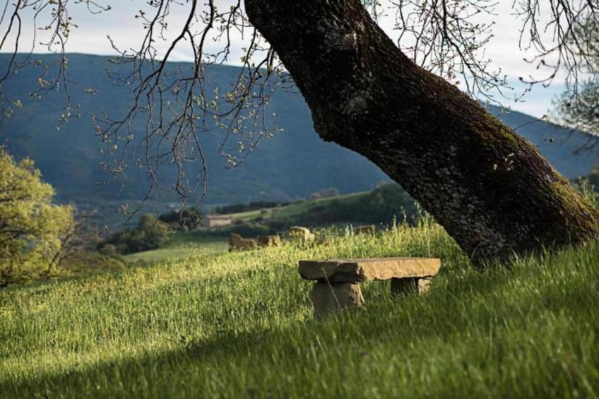 Frantoio 2 - foto 32