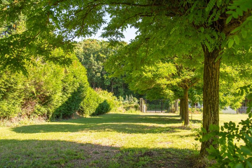 Der Ruf der freien Zone - foto 30