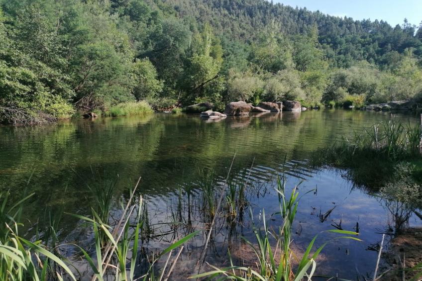 Altes Kellerhaus in Gerês - foto 64